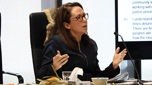 Featured image for “Criminal justice systems hearing – Government and departmental day 6”