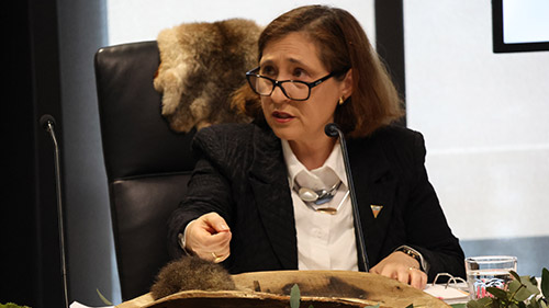 Lily D'Ambrosio MP, Minister for Climate Action, Energy & Resources at a public hearing